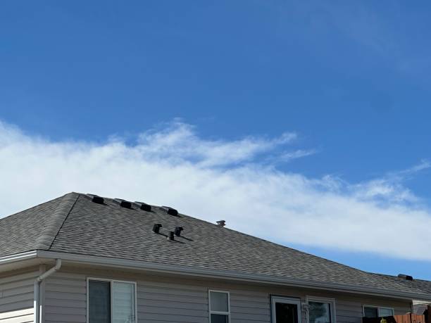 Best Gutter Installation and Repair  in Holland, OH